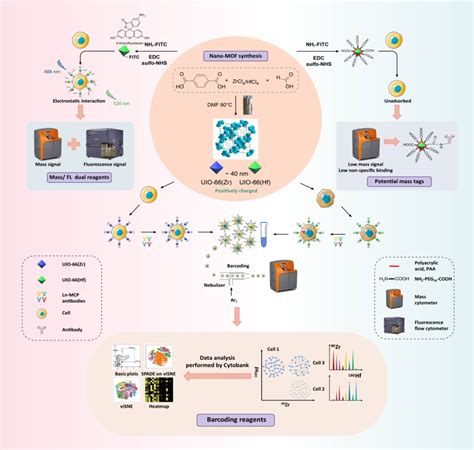 Image result for Barcoding Mass Cytometry