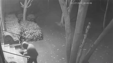 Image result for Poop Bandit