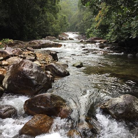 DUKE`S FOREST LODGE (Ponmudi, Kerala) - Campground Reviews & Photos ...