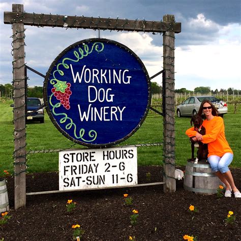 Working Dog Winery, Hair of the Dog 5k and Chesterfest Wine Festival ...