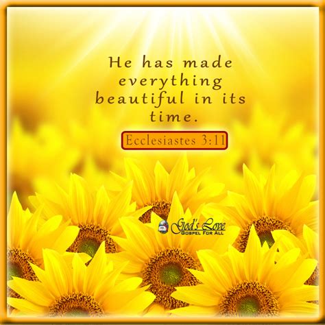Ecclesiastes 3:11 :: God's Love Ministries - Today's Promise