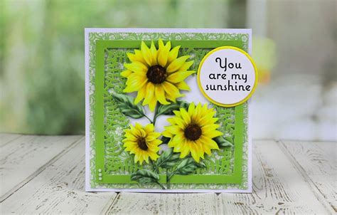 Image result for Tattered Lace USB Tutorials