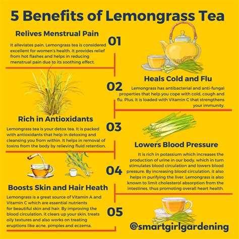 Best 12 14 Amazing Health Benefits Of Lemongrass Tea & How To Prepare ...