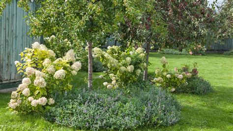 Image result for Landscaping Timber around Tree