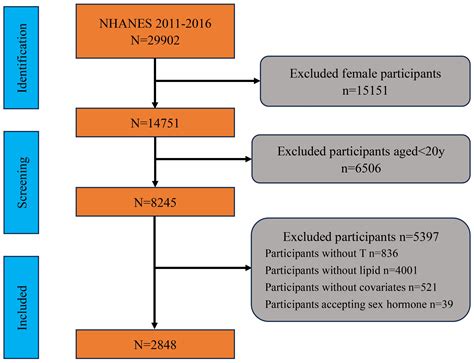 Frontiers | The relationship between remnant cholesterol and the risk of testosterone deficiency ...