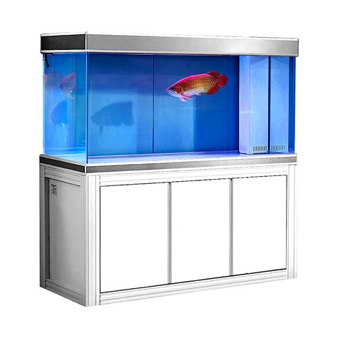 200 Gallon Aquarium