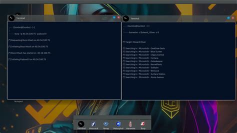 Hack Simulation 的图像结果