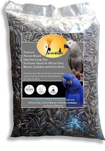 Parrots Wizard Birds - Buy Parrots Wizard Birds Online at Best Prices ...
