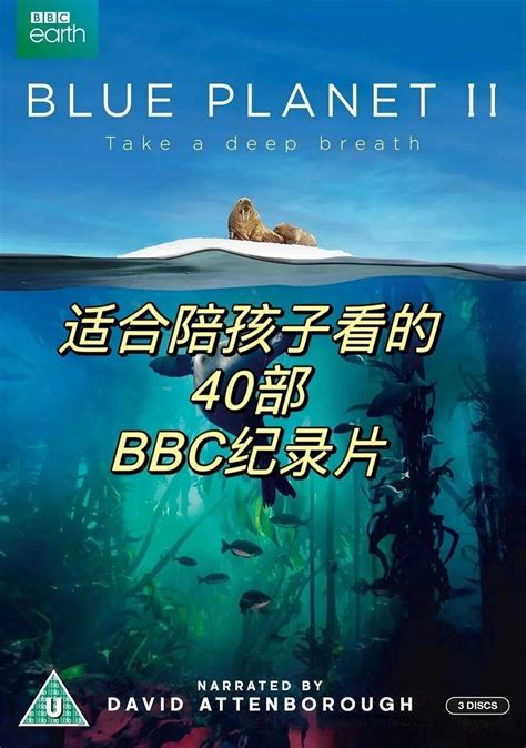 BBC Socumentry 的图像结果