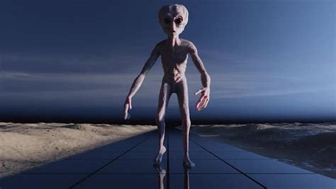 Image result for Alien Walk Cycle