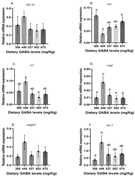 Dietary γ-Aminobutyric Acid Promotes Growth and Immune System ...