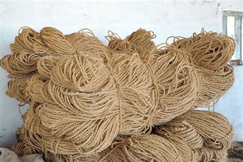 D'source Introduction | Coir Craft | D'Source Digital Online Learning ...