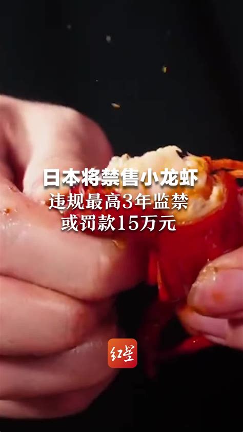 日本拟将小龙虾指定为外来入侵物种：禁止进口、贩卖_全球速报_澎湃新闻-The Paper