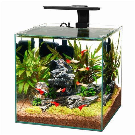 Aqueon Frameless Cube Aquarium, 6 Gallon | Petco | Glass jugs crafts ...