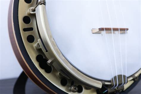 Banjolele Tutorial 的图像结果
