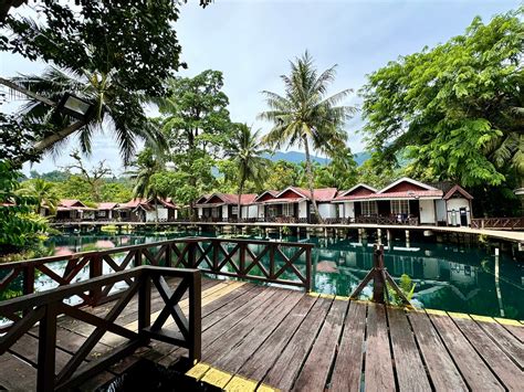 The stay and diving team is amazing - Review of Paya Beach Spa & Dive ...