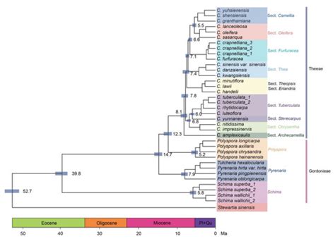 OHDLF: A Method for Selecting Orthologous Genes for Phylogenetic ...