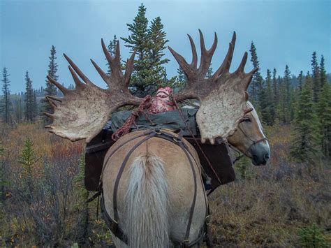 Image result for Ruby Hunting