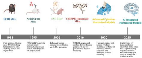 AI-Enhanced Morphological Phenotyping in Humanized Mouse Models: A ...