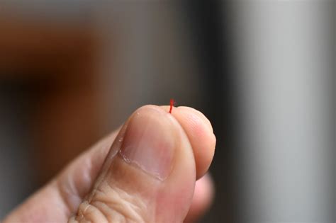 Image result for Threading a Needle Tips