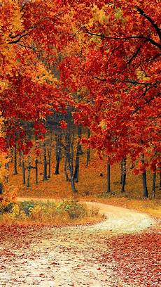 Iphone Xs Wallpaper Autumn by 15 Fall Iphone Xs Wallpapers Best Autumn Backgrounds Iphone Xs Wallpaper Autumn