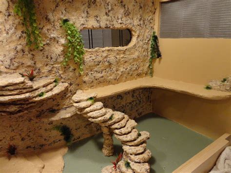 Bearded Dragon Enclosure Ideas | DIY Aquarium Decor