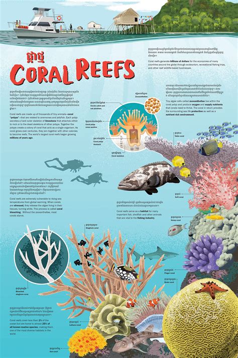 Coral Reef sign | Coral reef, Coral reef ecosystem, Ecosystems projects