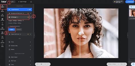 How to Fix Pixelated Photos Steps by Steps 的图像结果