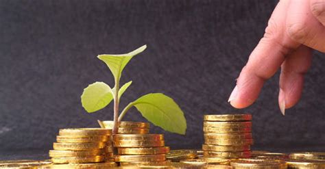 Returning investor News Corp invests $70 mn in Elara Technologies