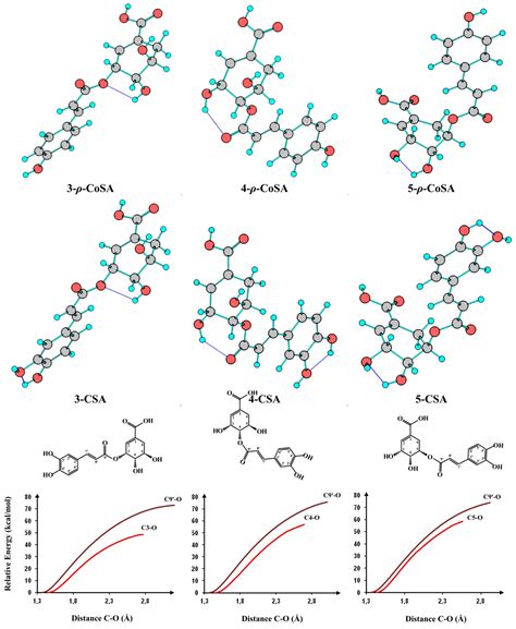 Tentative Characterization of Polyphenolic Compounds in the Male ...