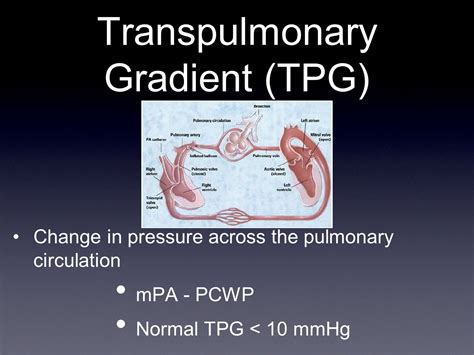 Pulmonary Hypertension and Congestive Heart Failure - ppt video online ...