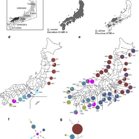 Japan Island 的图像结果