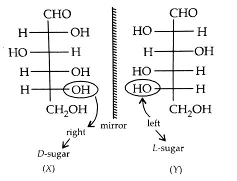 Among the following statements, about the molecules X and Y , which is ...