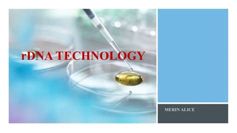 rDNA Technology Grade 12 的图像结果