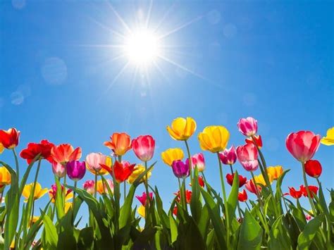 Image result for Spring Weather Picures