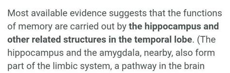 which part of brain is responsible for recall of memory. ? - Brainly.in