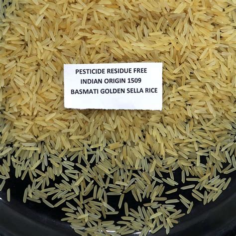 Pesticide Free 1509 Golden Sella Basmati Rice Manufacturer, Supplier ...