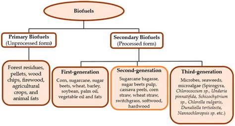 Renewable Energy Potential: Second-Generation Biomass as Feedstock for ...