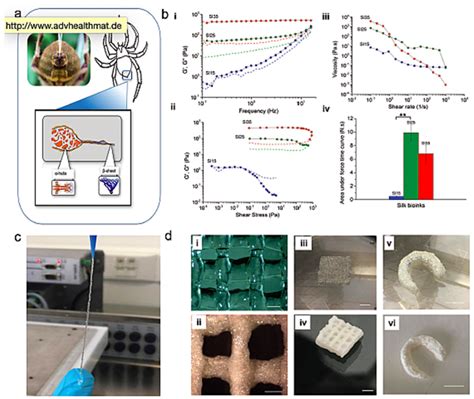 Scaffolding Strategies for Tissue Engineering and Regenerative Medicine ...