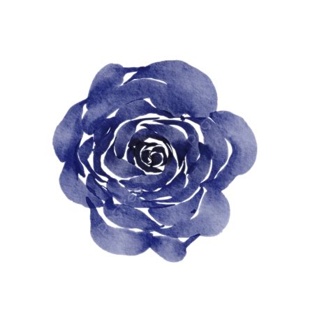 Navy Blue Flower Illustration Printables