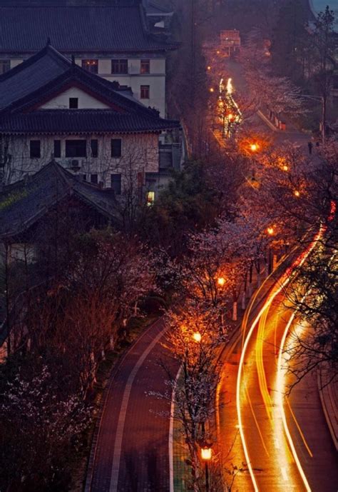 合肥瑶海：郎溪路高架桥夜景璀璨夺目，车水马龙