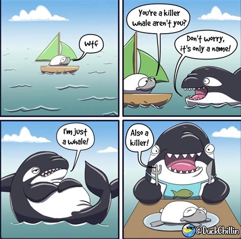 Killer Whales Funny Jokes Orca Puns And Jokes To Make A Splash