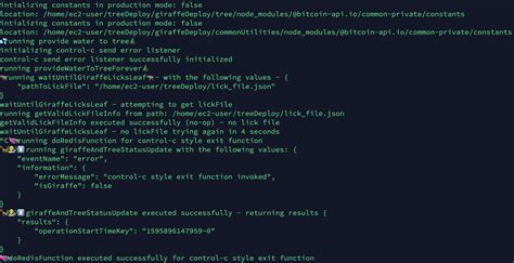 Bitcoin API JavaScript 的图像结果