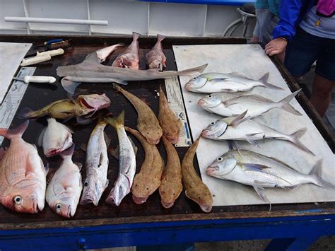 Mako Fishing Charters (Lakes Entrance) - All You Need to Know BEFORE You Go