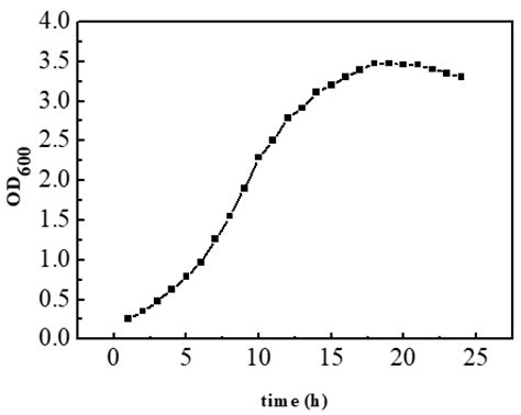 Biosynthesis of Glucaric Acid by Recombinant Strain of Escherichia coli ...