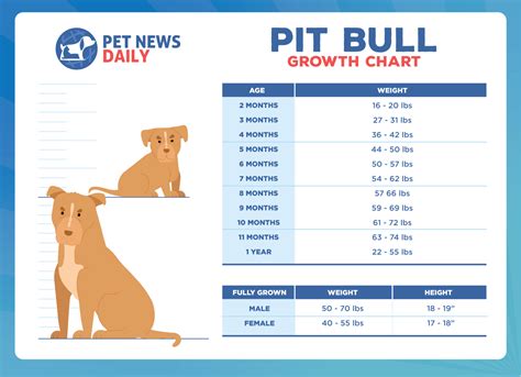 Pit Bull Growth Chart: How Big Will Your Pit Bull Get? - Puppy Growth ...