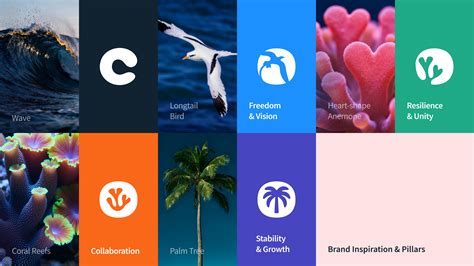 London Design Awards | Company Branding Cove Marketplace Bra...