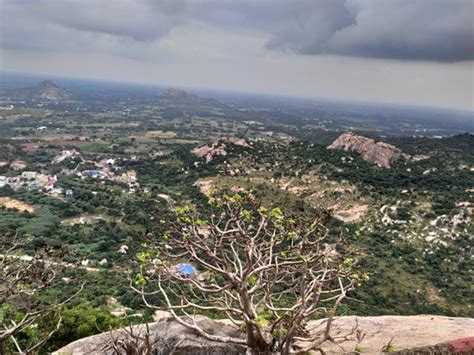 Sri Yoga Narasimhar Temple Sholingur, Sholinghur - TripAdvisor