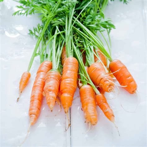 Can Puppies Eat Frozen Carrots