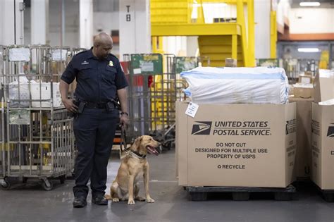DHS Secretary Alejandro Mayorkas Tours the CBP IMF at JFK (053) | U.S ...